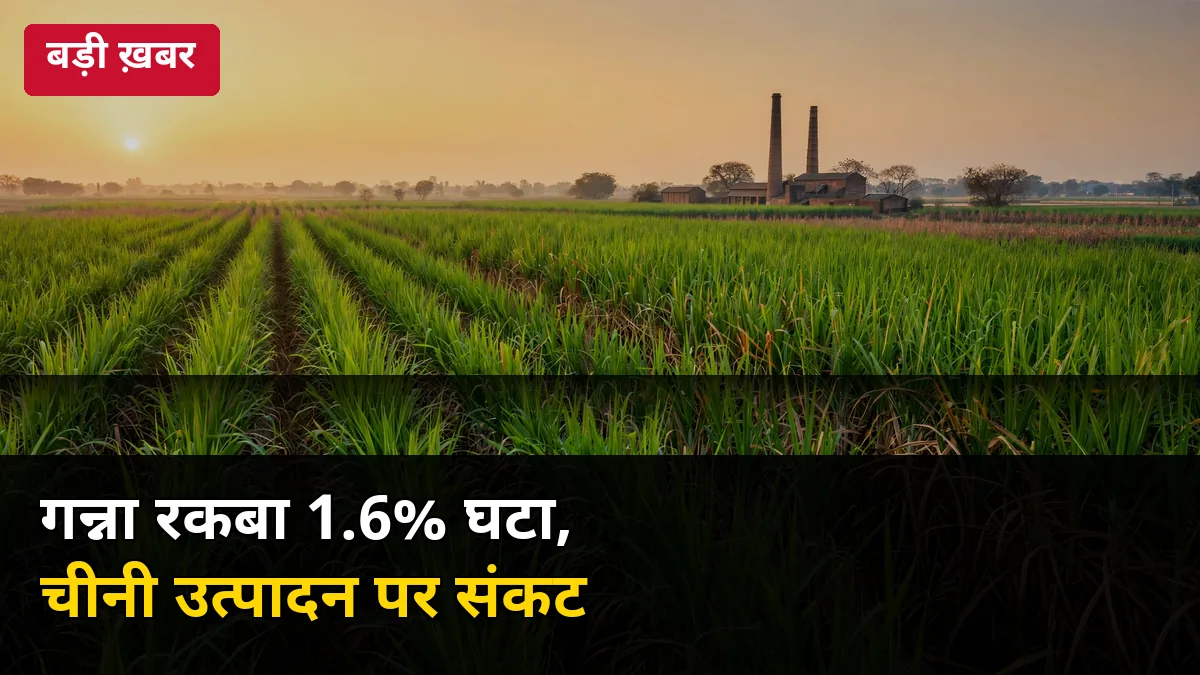 🚨 यूपी के 11 जिलों में गन्ना रकबा 1.6% घटा: 17.14 लाख हेक्टेयर पर सिमटा, चीनी उत्पादन पर संकट के बादल