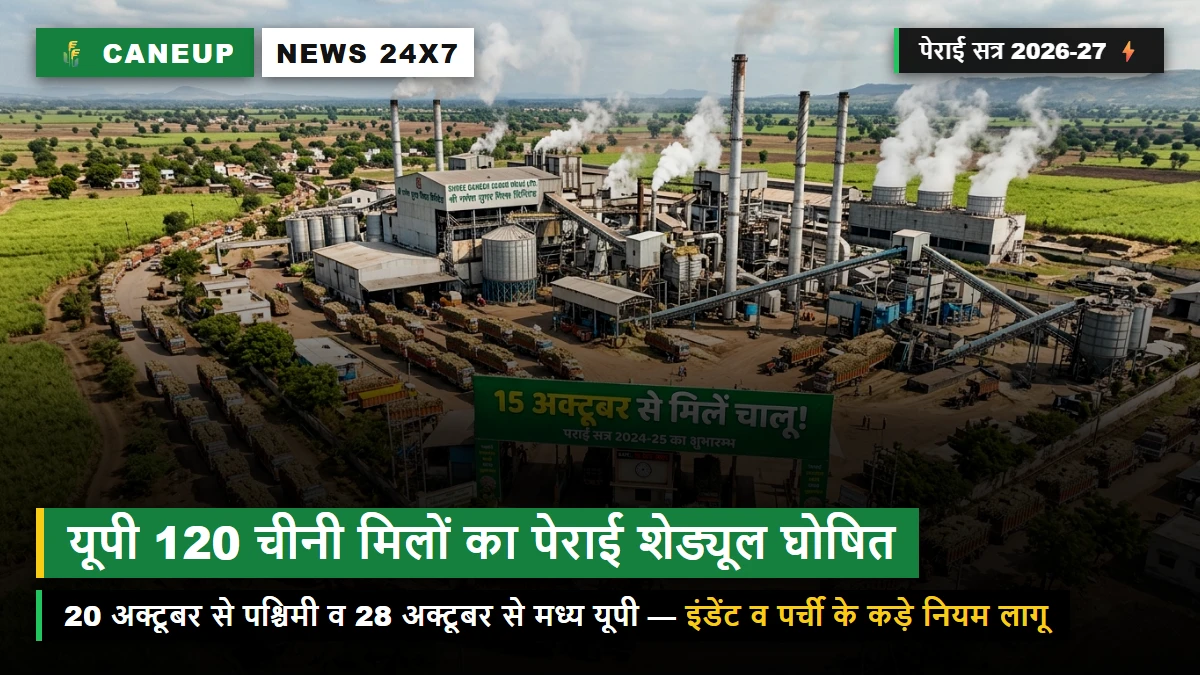 यूपी की 120 चीनी मिलों का पेराई सत्र 2026-27 शेड्यूल घोषित — 20 अक्टूबर से पश्चिमी और 28 अक्टूबर से मध्य यूपी में चलेगा पेराई का पहिया, इंडेंट के कड़े नियम लागू