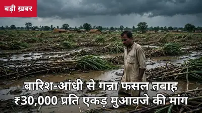 उत्तर प्रदेश में बारिश-आंधी से गन्ना फसल तबाह: 56 मौतें, किसान सभा की ₹30,000 प्रति एकड़ मुआवजे की मांग