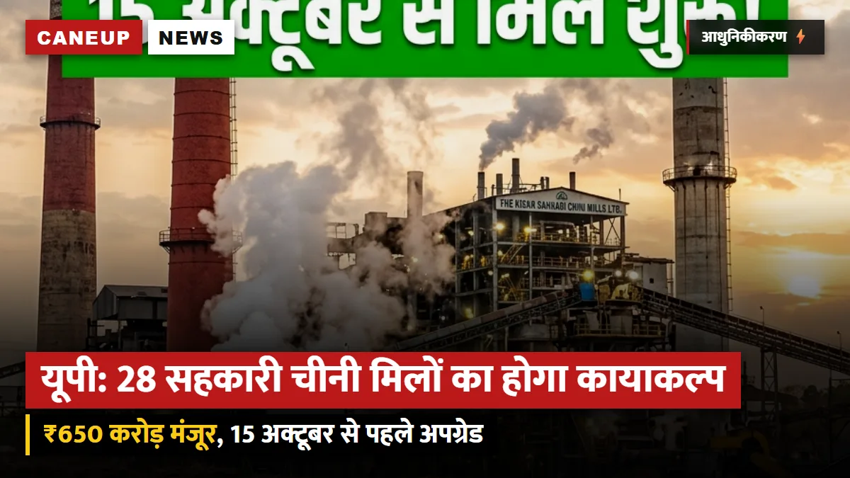 यूपी की 28 सहकारी चीनी मिलों के आधुनिकीकरण के लिए 650 करोड़ रुपये मंजूर, 15 अक्टूबर से पहले अपग्रेड होंगी मशीनें