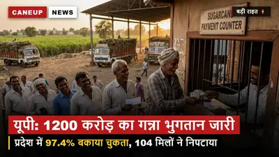 यूपी में गन्ने का 1200 करोड़ से अधिक का भुगतान जारी, राज्य में 97.4 प्रतिशत बकाया चुकता