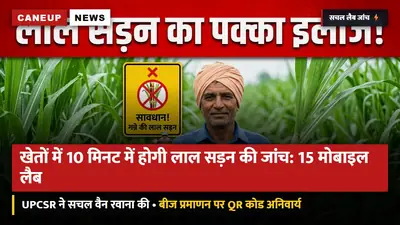 गन्ना शोध परिषद की 15 सचल प्रयोगशालाएं रवाना: खेतों में जाकर 10 मिनट में होगी लाल सड़न (Red Rot) की जांच — बीज प्रमाणन पर क्यूआर कोड अनिवार्य