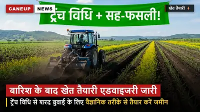 बारिश के बाद खेत तैयारी एडवाइजरी — ट्रेंच विधि से शरदकालीन गन्ना बुवाई के लिए ऐसे तैयार करें जमीन
