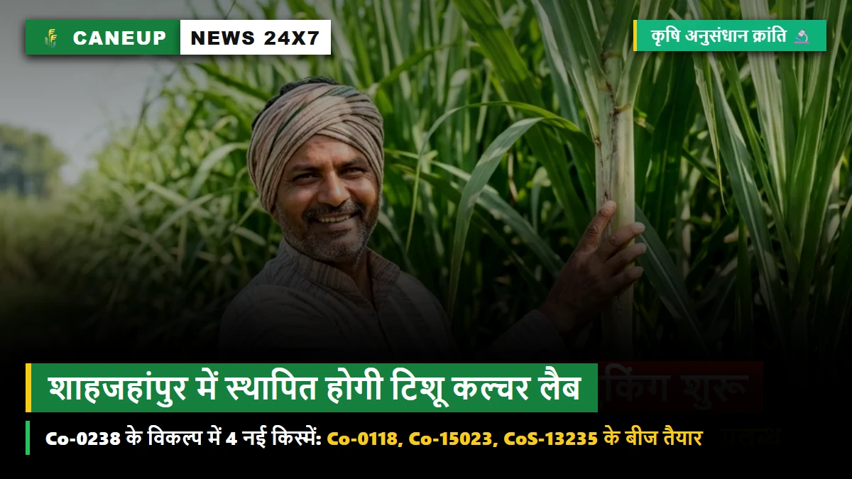 शाहजहांपुर गन्ना शोध परिषद में स्थापित होगी अत्याधुनिक टिशू कल्चर लैब — रेड-रॉट प्रभावित 0238 के विकल्प के रूप में 4 नई किस्मों के प्रजनक बीज तैयार