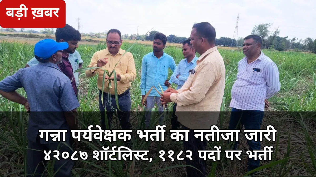 गन्ना पर्यवेक्षक भर्ती: 42,087 शॉर्टलिस्ट, 1182 पदों पर भर्ती — 12 अक्टूबर को जारी हुआ रिजल्ट, ऐसे करें डाउनलोड