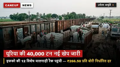 पश्चिमी यूपी में यूरिया की किल्लत पर ब्रेक — इफको की 12 विशेष मालगाड़ी रैक से 40,000 टन आपूर्ति, ₹266.50 प्रति बोरी की दर तय