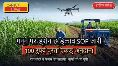 पश्चिमी यूपी में गन्ने पर ड्रोन छिड़काव के लिए SOP जारी, टॉप बोरर नियंत्रण हेतु 100 रुपये प्रति एकड़ अनुदान