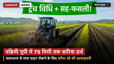 पश्चिमी यूपी में 75 मिमी तक बारिश दर्ज — जलभराव से लाल सड़न रोकने को कॉपर फफूंदनाशक एडवाइजरी