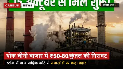 थोक चीनी बाजार में ₹50-80 प्रति क्विंटल की गिरावट — 2,000 क्विंटल स्टॉक सीमा और पाक्षिक कोटे का बड़ा असर