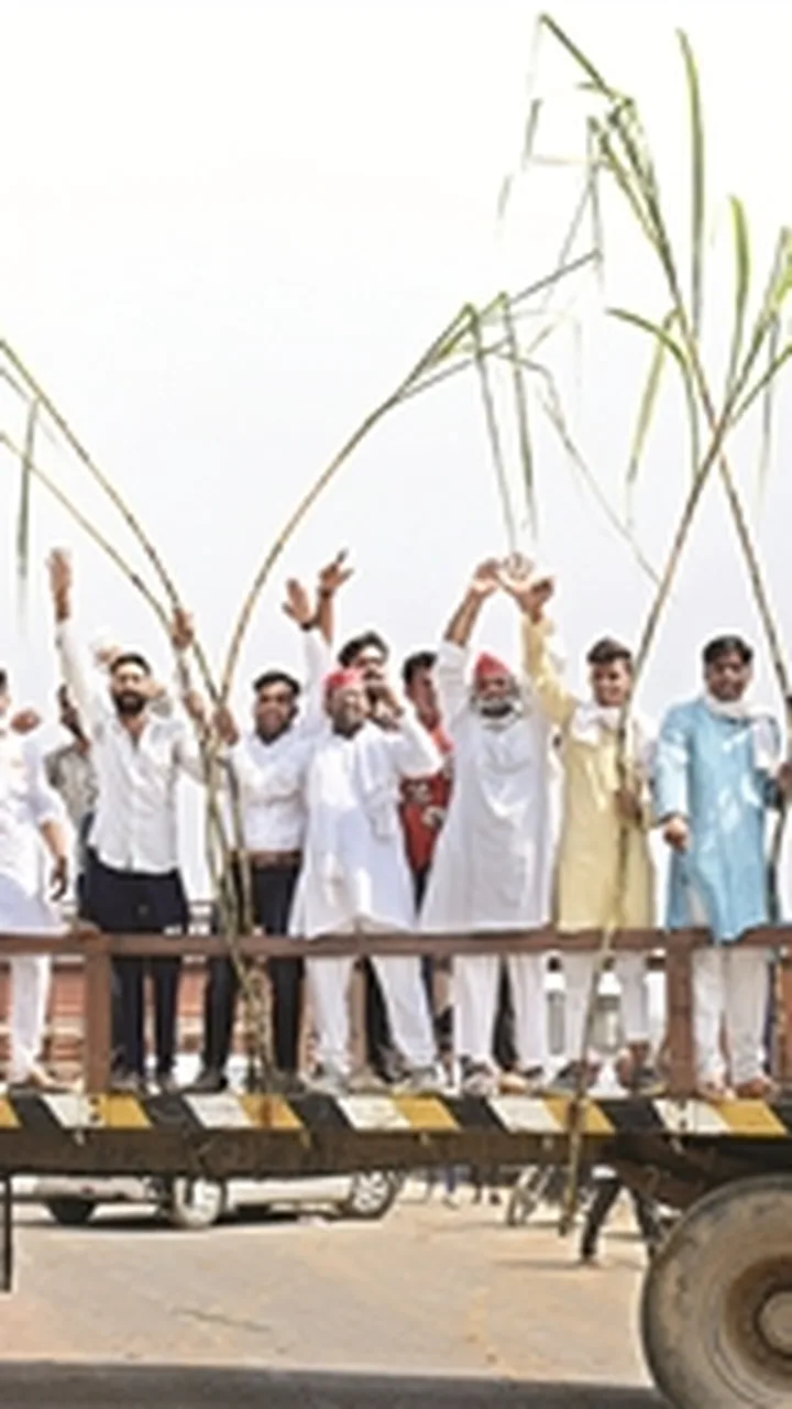 15 नवंबर से पहले पेराई नहीं — किसान संगठनों की चेतावनी