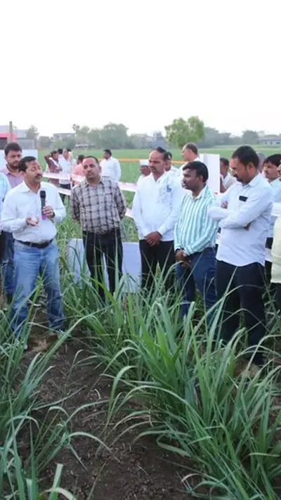 ₹600 गन्ना भाव की मांग: लखनऊ बैठक में मिलों की सहमति, जानें घोषणा कब होगी