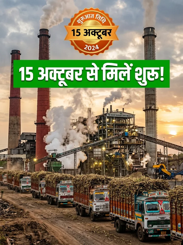 15 अक्टूबर से यूपी चीनी मिलें चालू — पेराई की संभावित तारीखें