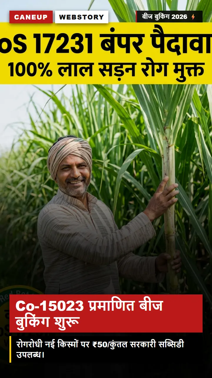 गन्ना बीज बुकिंग शुरू — Co-15023 व CoLk-15201 सब्सिडी पर कैसे लें