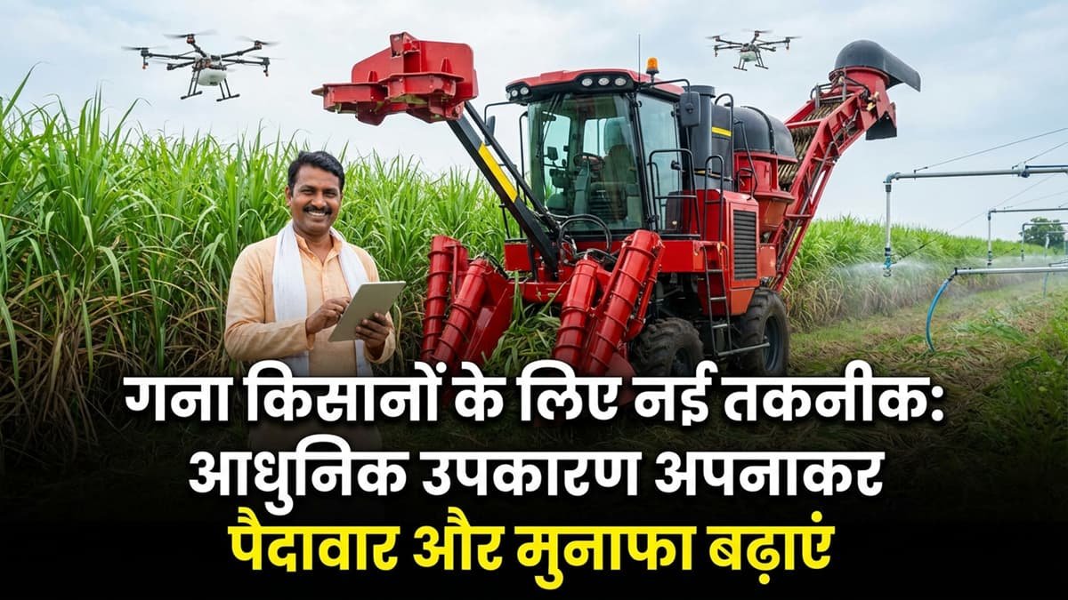 modern-sugarcane-farming-techniques