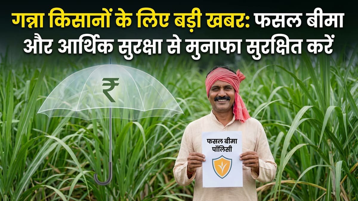 sugarcane-farmers-crop-insurance