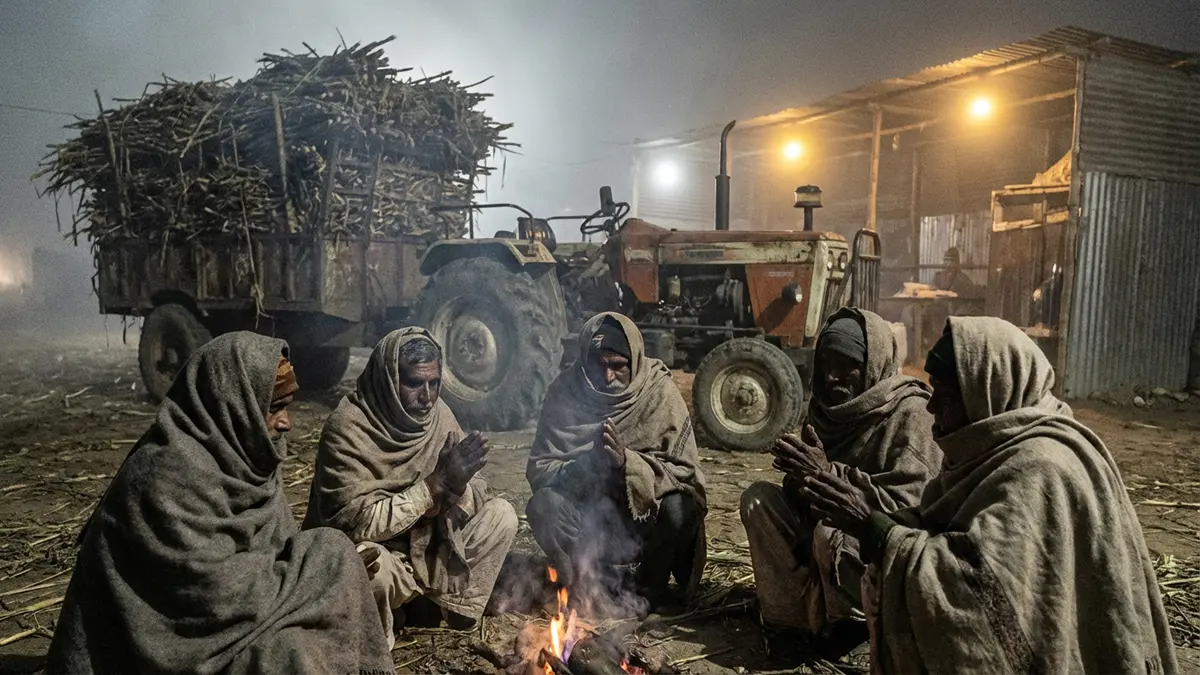 यूपी में गन्ने के कांटों पर रात गुजारने को मजबूर हमारा 'गन्ना किसान'